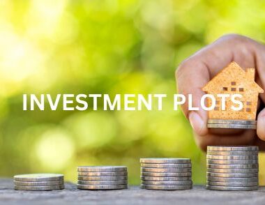 Investment Open Plots